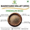 Grainoxy barnyard millet