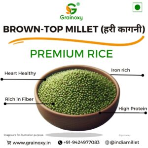 Grainoxy brown top millet