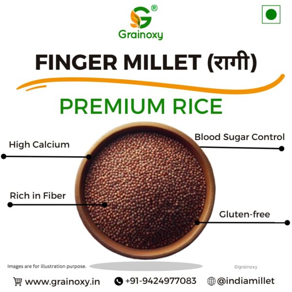 Grainoxy finger ragi millet