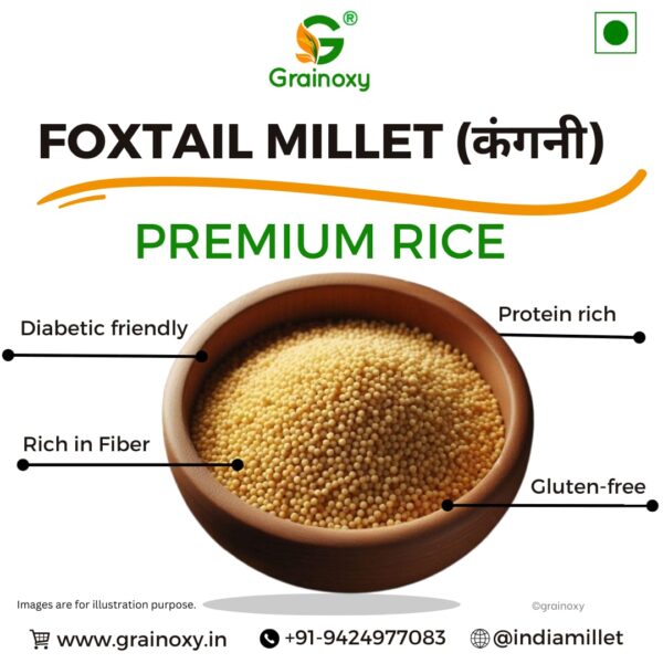 Grainoxy foxtail millet