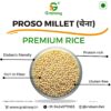 Grainoxy proso millet