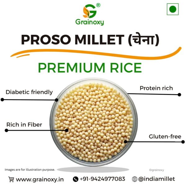 Grainoxy proso millet