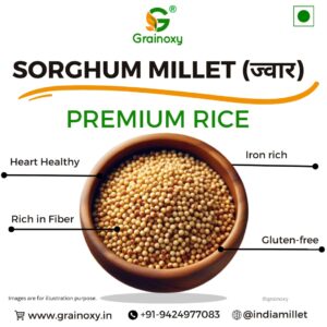 Grainoxy sorghum jowar millet