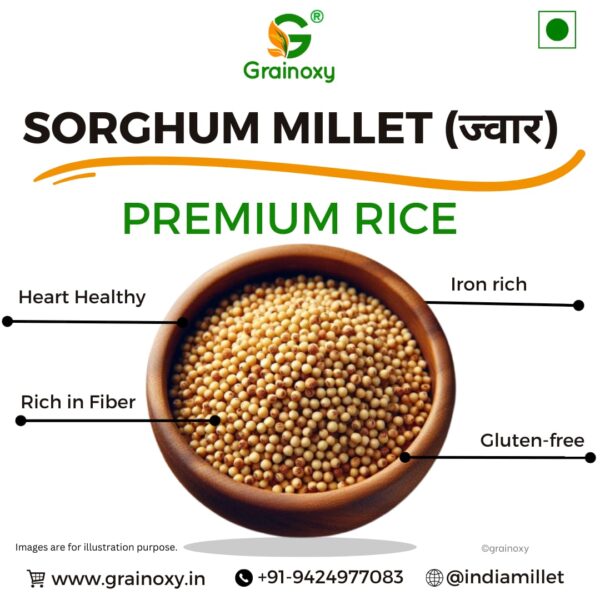 Grainoxy sorghum jowar millet